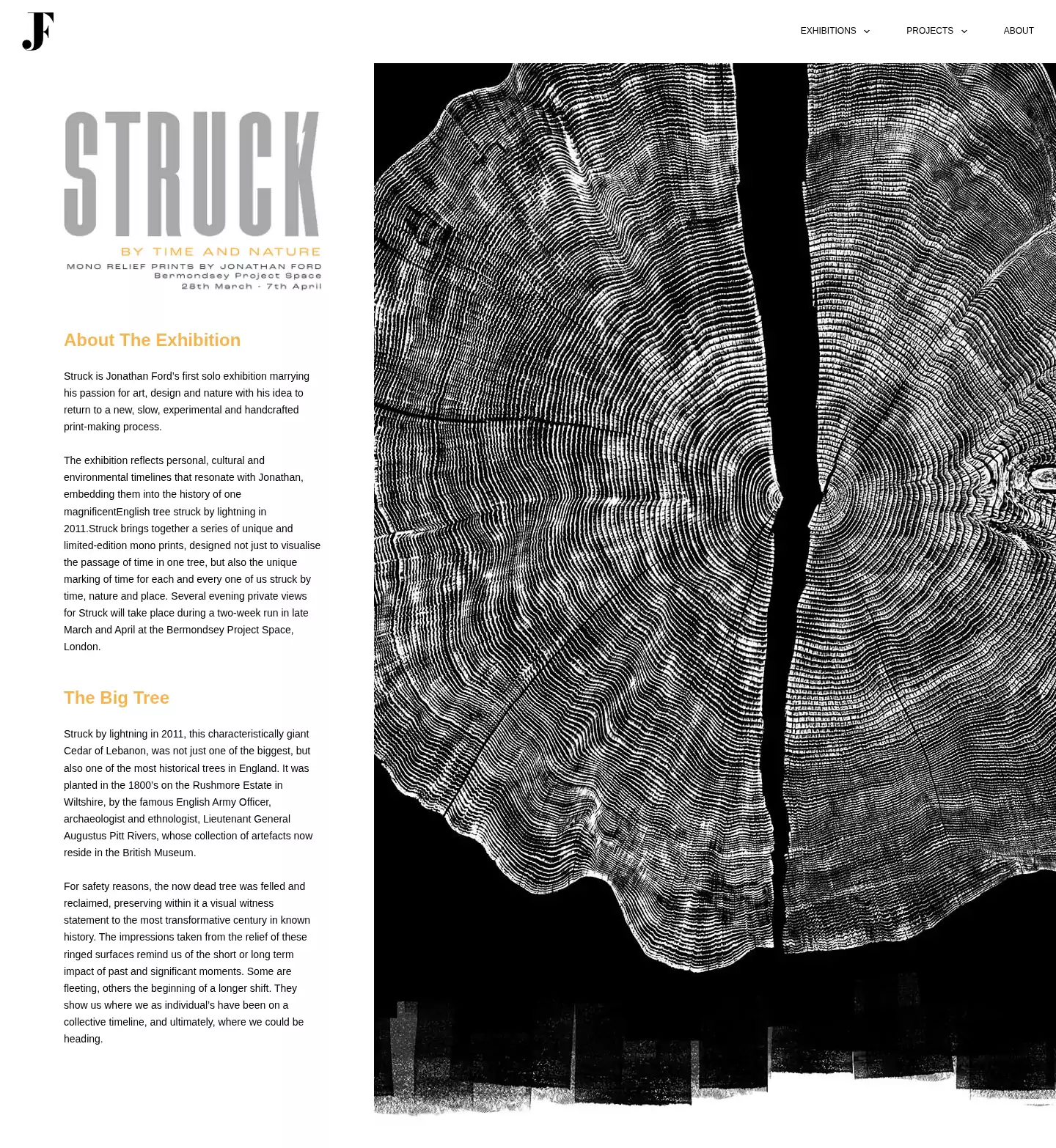 The Struck exhibition page beside a large black-and-white tree-ring print